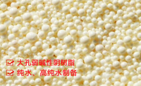 爭光D301FC大孔弱堿性陰離子交換樹脂 高純水制備
